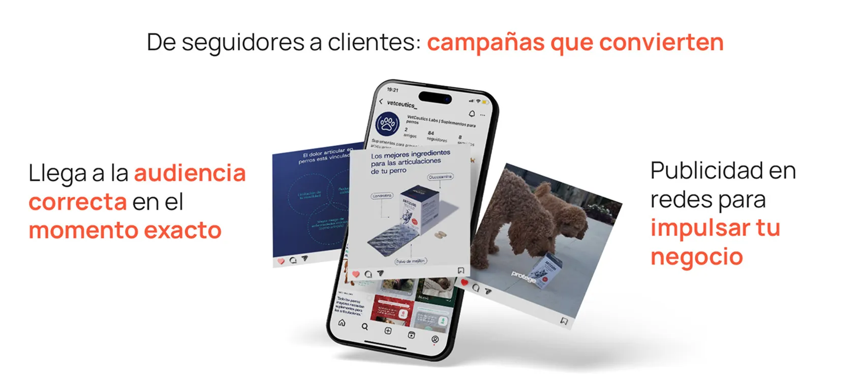 Empresa de Social Ads