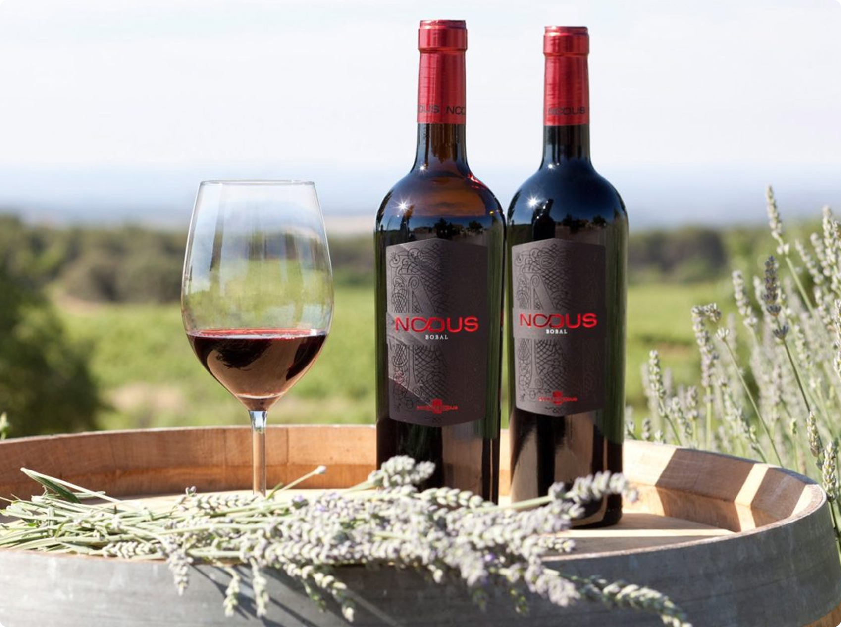 Resultados de Bodegas Nodus